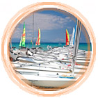 Wildwind is definitely the coolest sailing centre in the world because